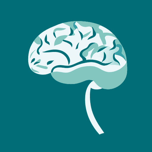 Comment le cerveau apprend ?